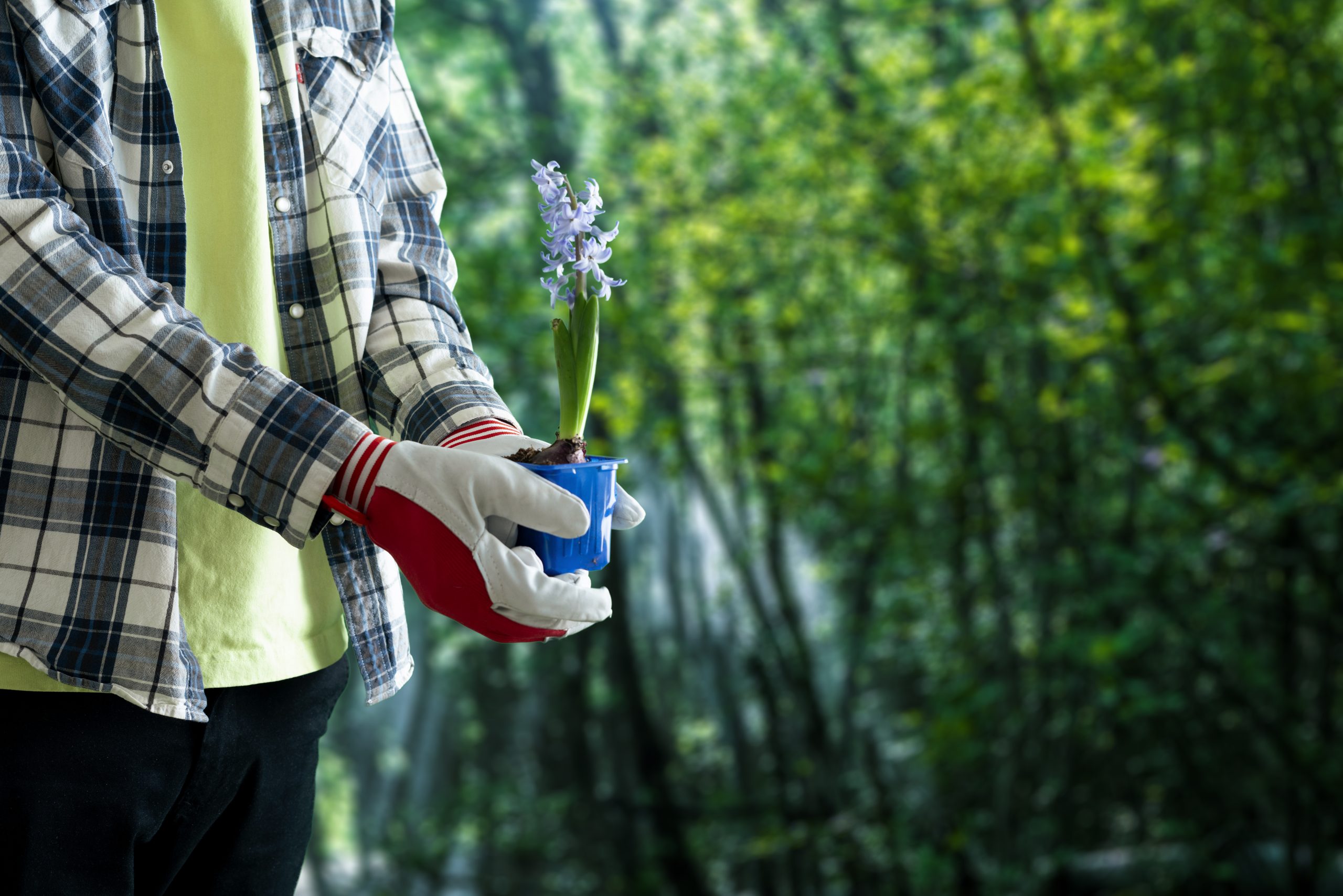 person holding small plant sprout pot young life care scaled