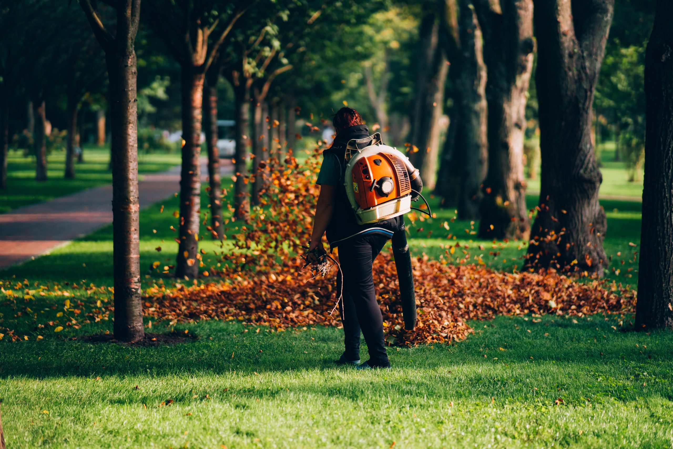 woman operating heavy duty leaf blower scaled
